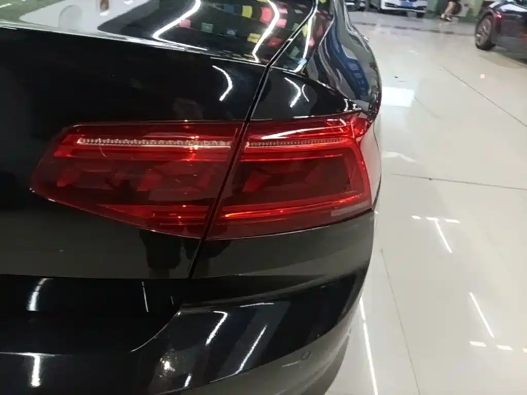 Volkswagen Magotan 2020 330TSI DSG Luxury