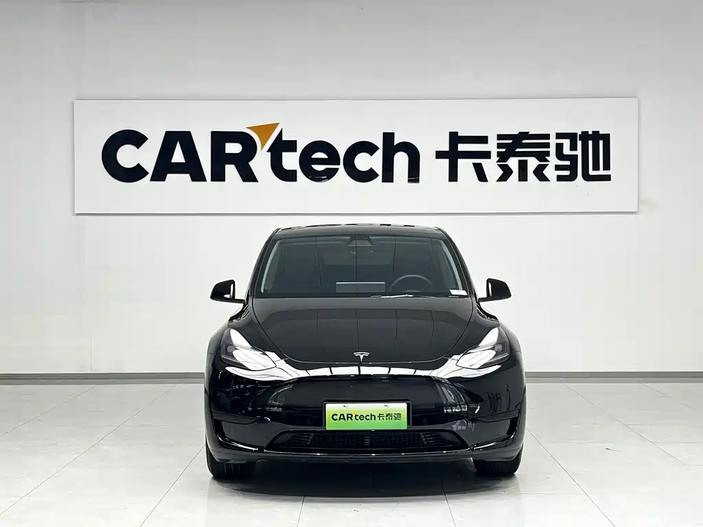 Tesla Model Y — миниатюра 3