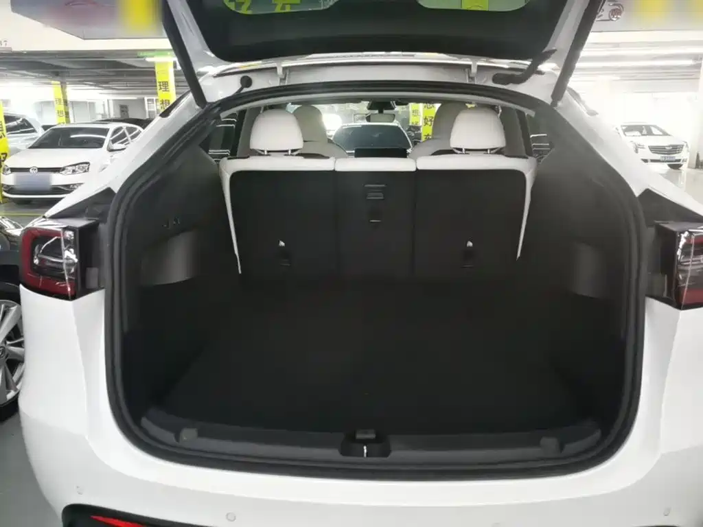 Tesla Model Y — миниатюра 19