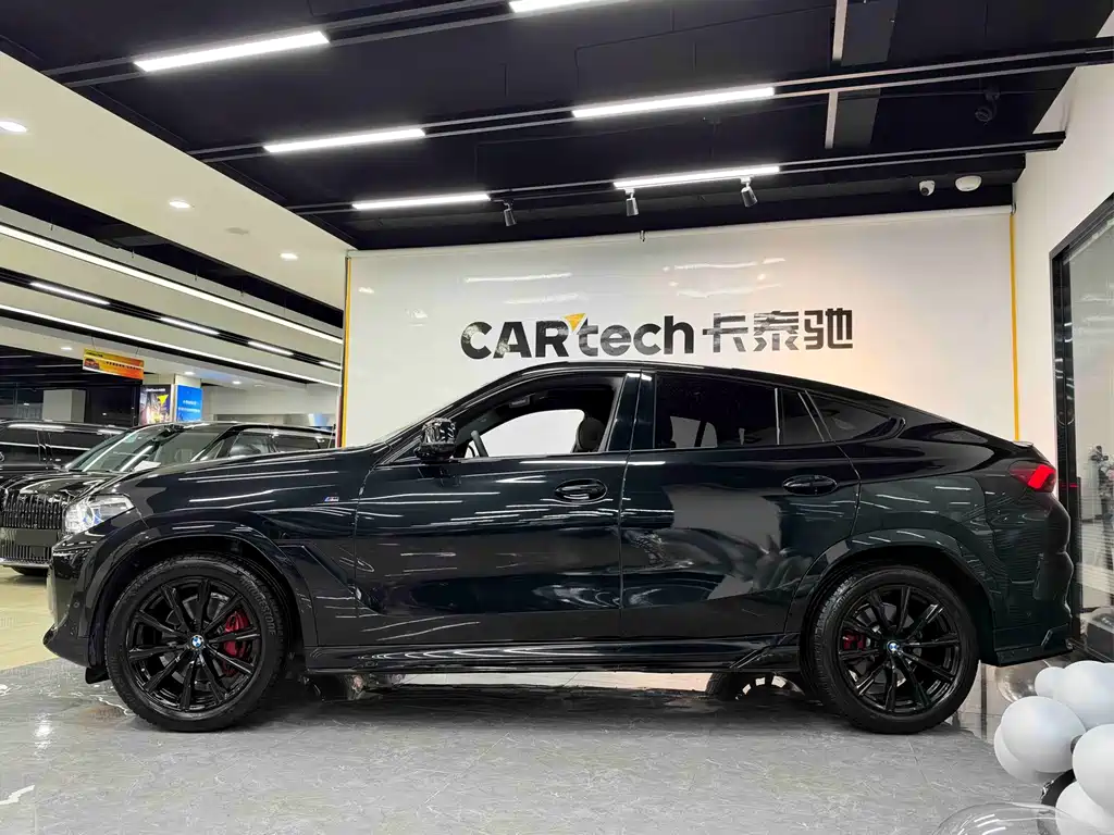 BMW X6 — миниатюра 5