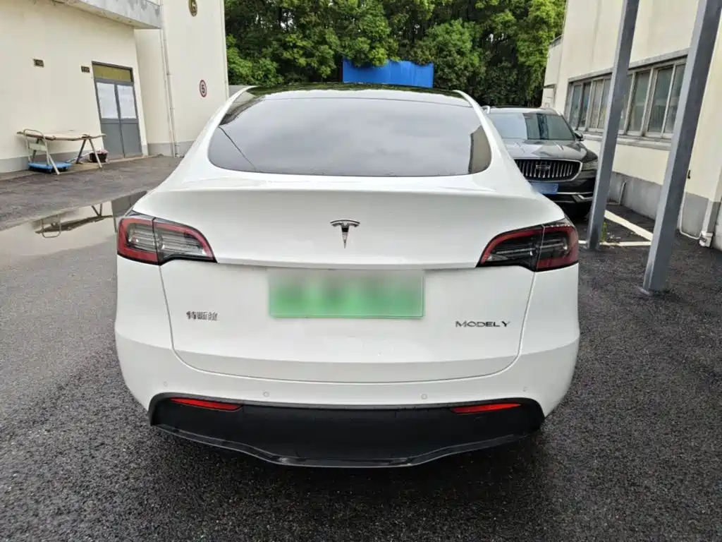 Tesla Model Y — миниатюра 6