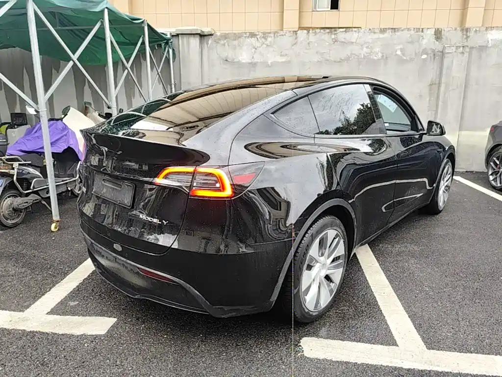 Tesla Model Y — миниатюра 7