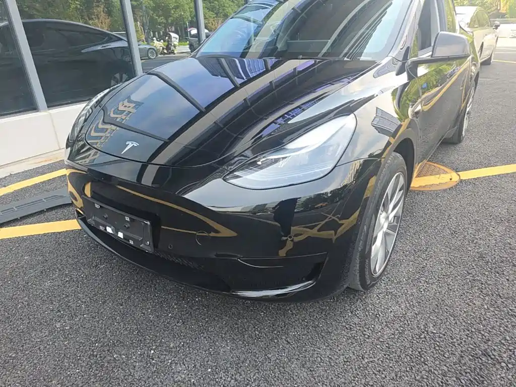 Tesla Model Y — миниатюра 24