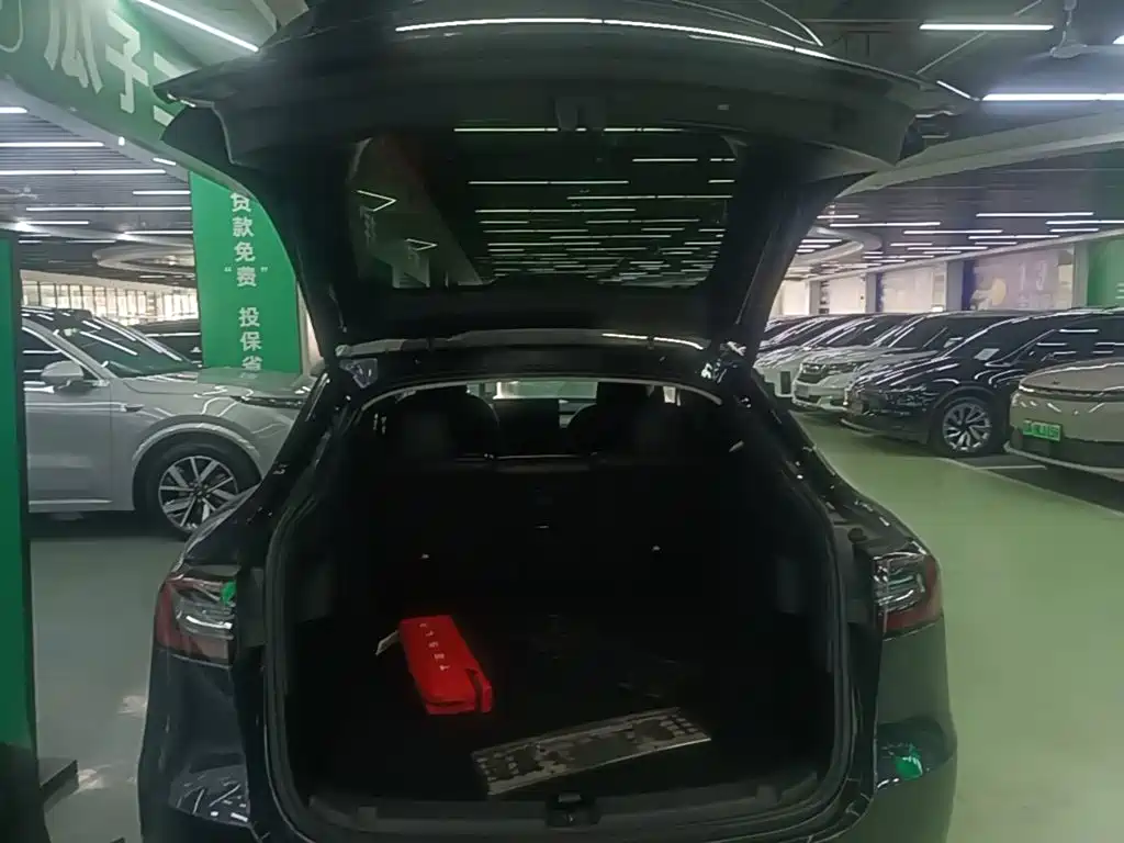 Tesla Model Y — миниатюра 19
