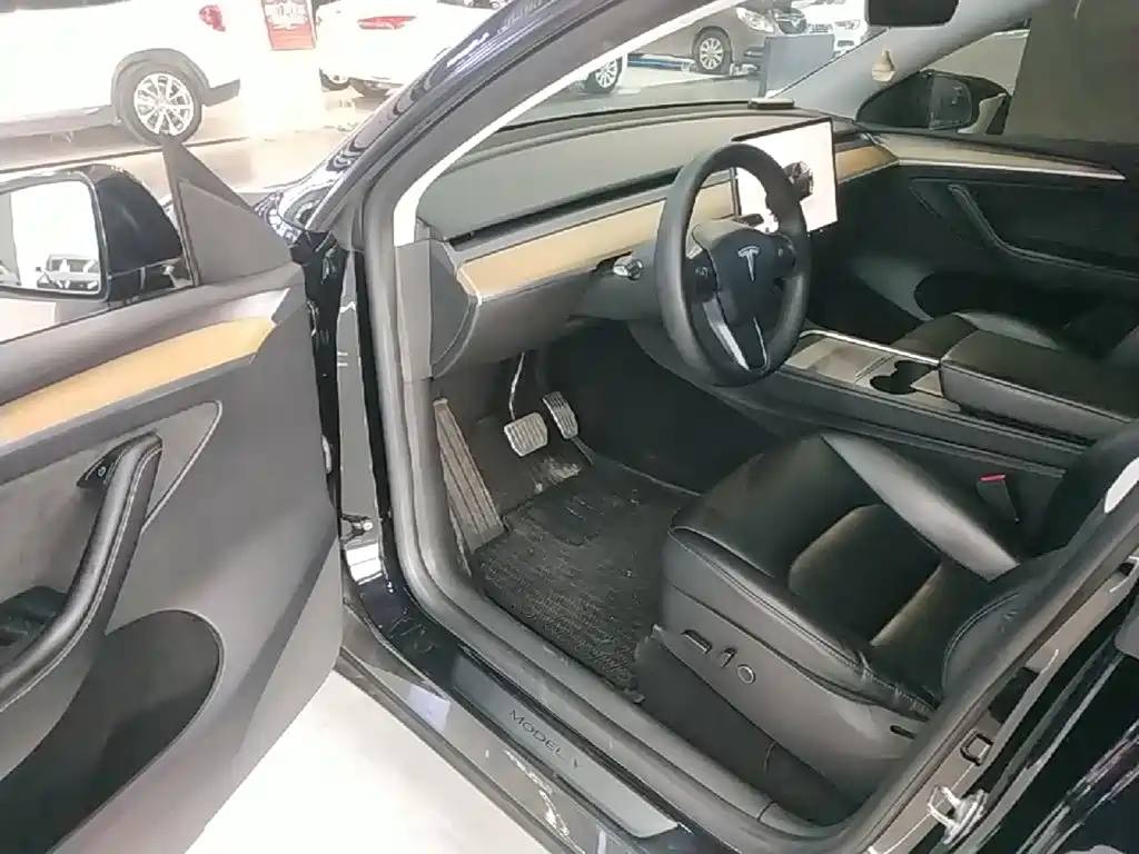 Tesla Model Y — миниатюра 16