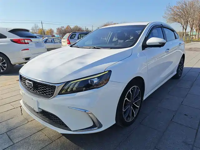 GEELY AUTOMOBILE BINRUI