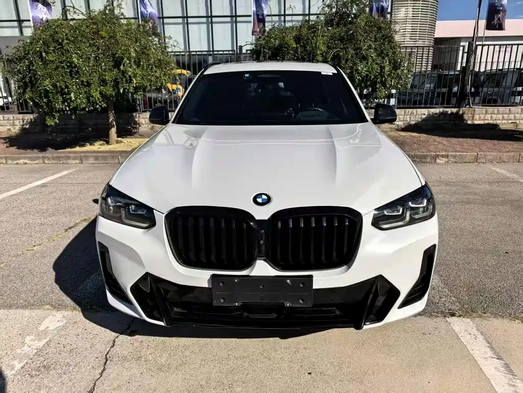 BMW X3 — миниатюра 2