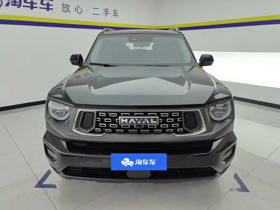 Haval Big Dog PLUS — миниатюра 2