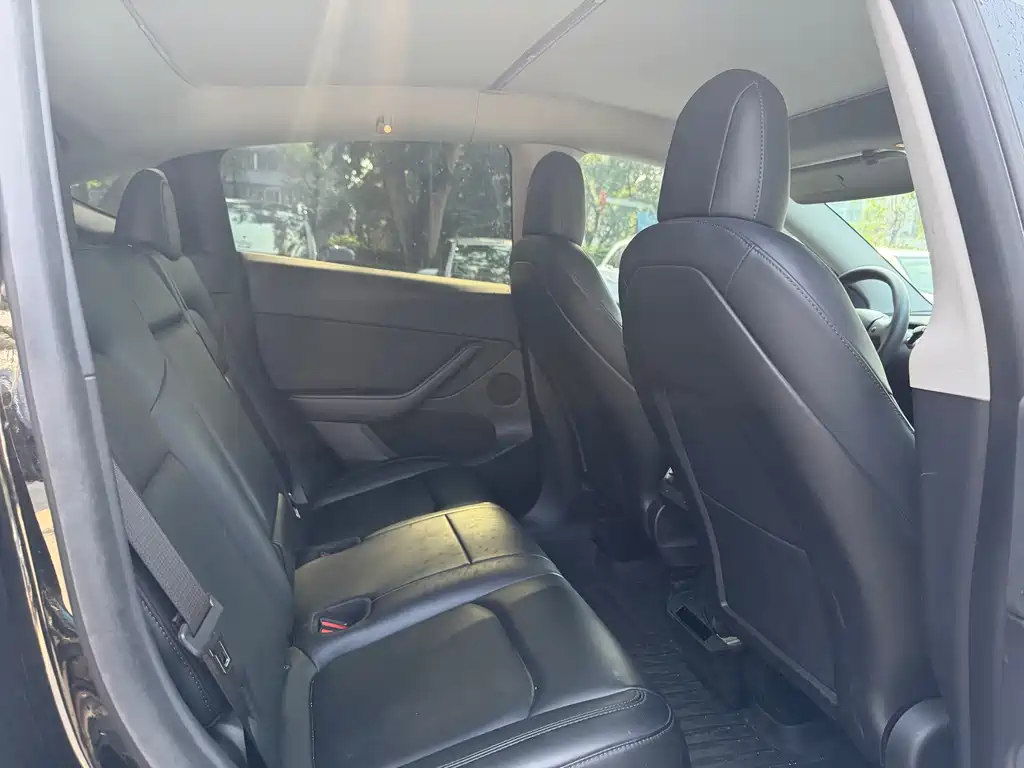 Tesla Model Y — миниатюра 7