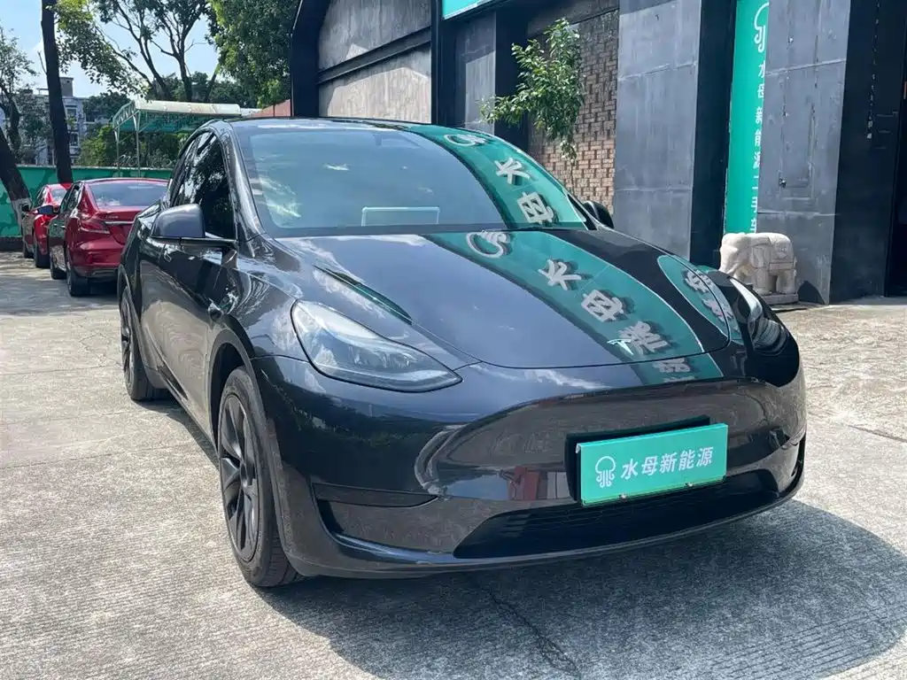 Tesla Model Y — миниатюра 13