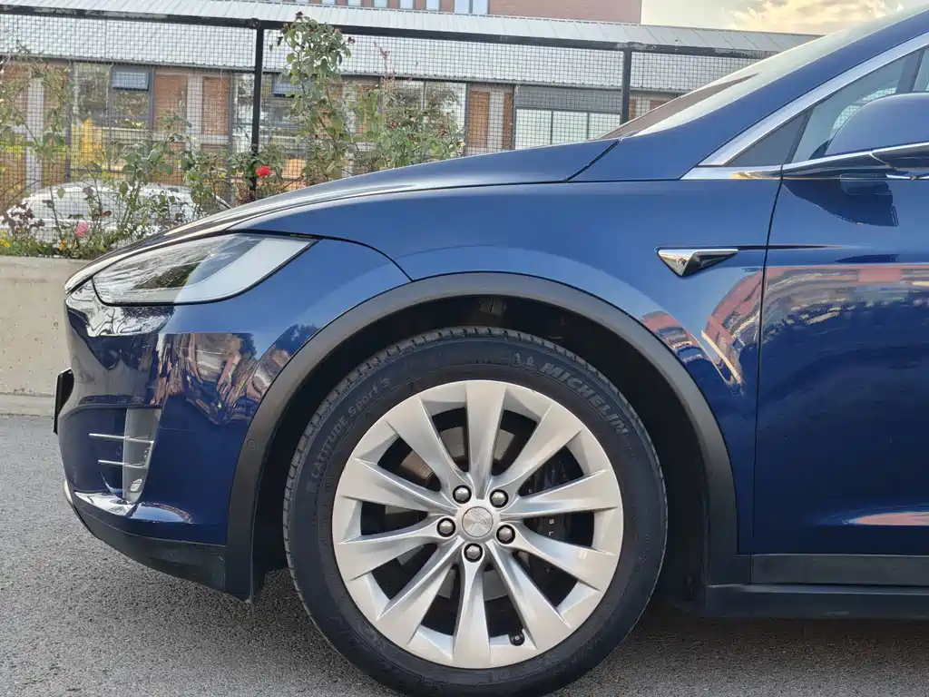Tesla Model X — миниатюра 5