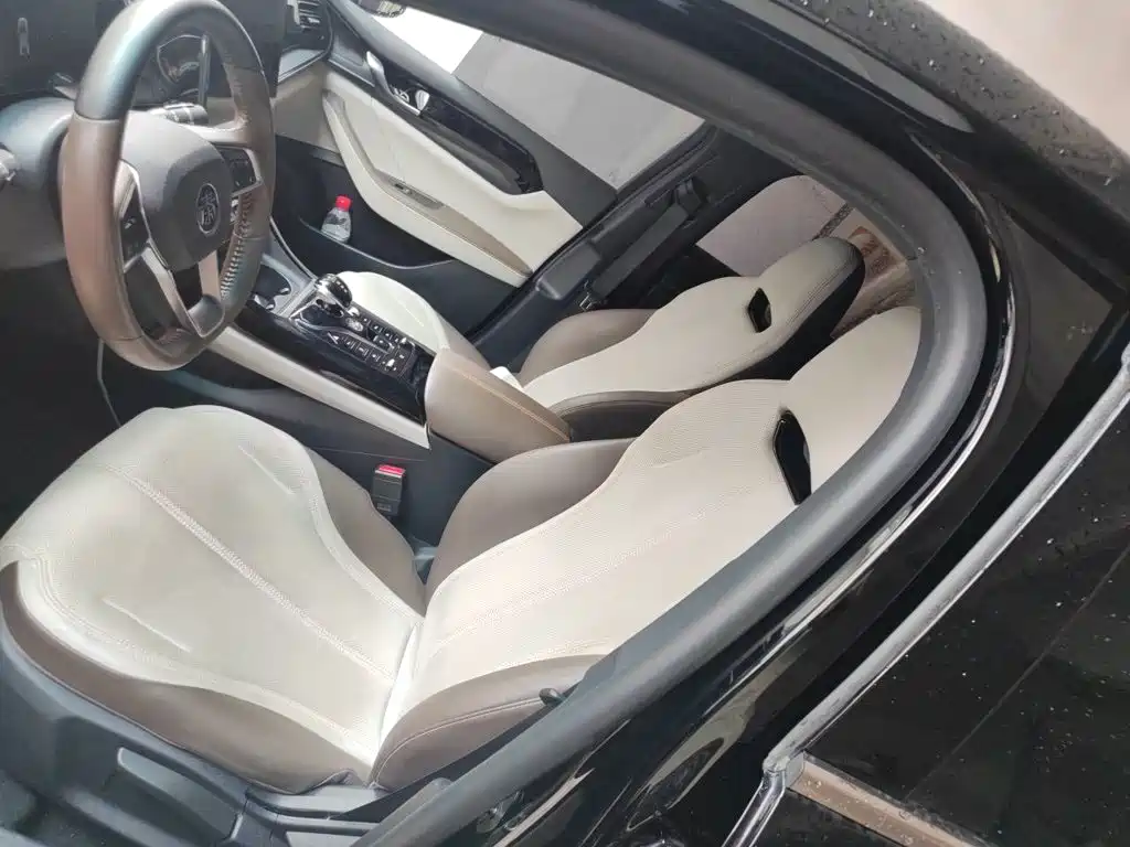 BYD Qin PLUS — миниатюра 12