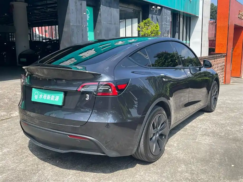 Tesla Model Y — миниатюра 10