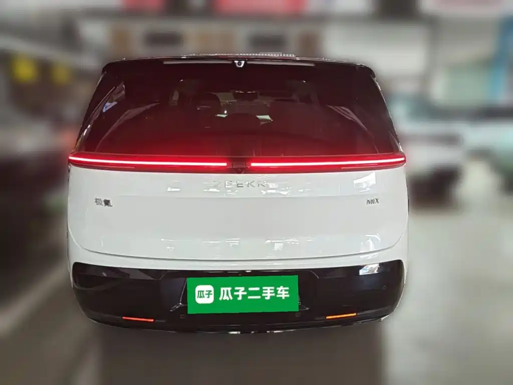 Zeekr Mix 2025 Smart Drive