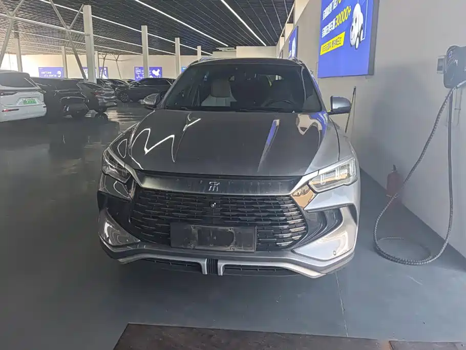BYD Pro New Energy — миниатюра 2