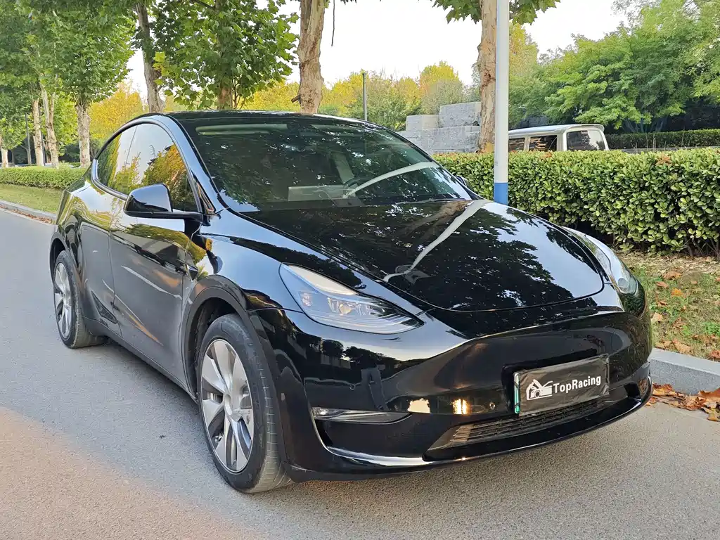 Tesla Model Y — миниатюра 3