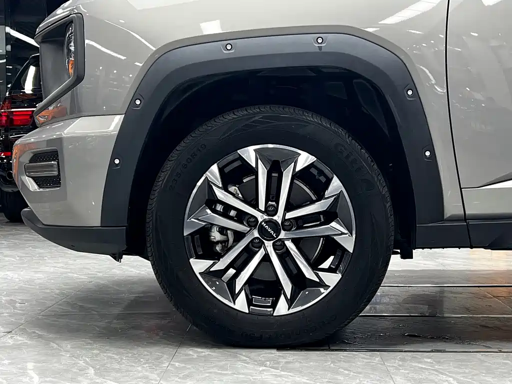 Haval Big Dog PLUS — миниатюра 8