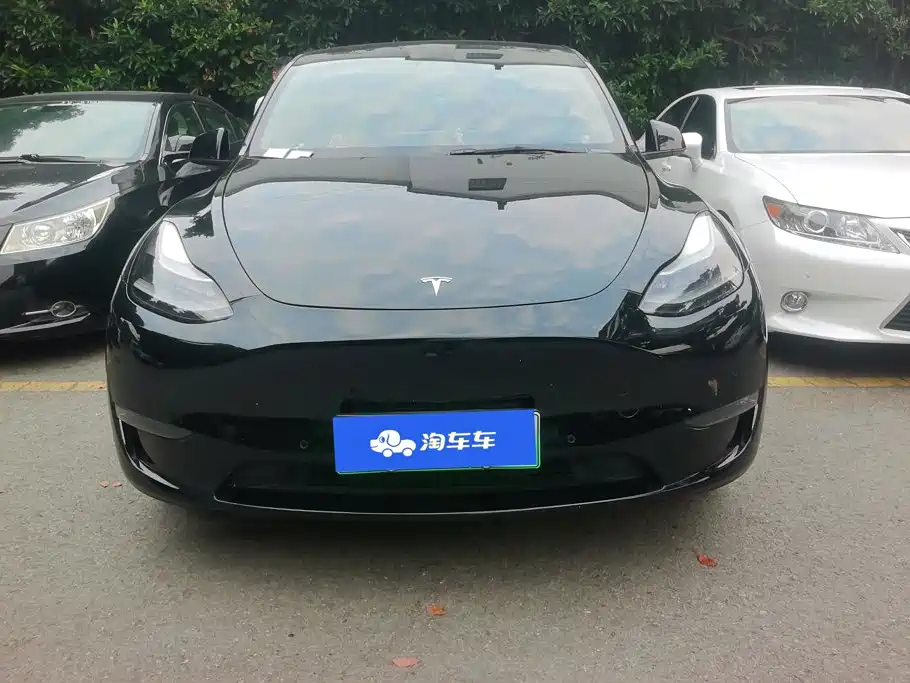 Tesla Model Y — миниатюра 2