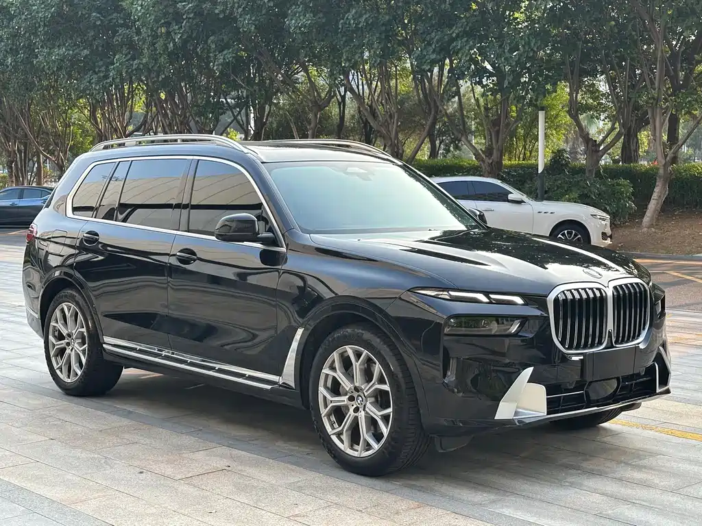 BMW X7 — миниатюра 3