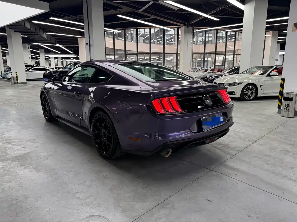 Ford Mustang — миниатюра 14