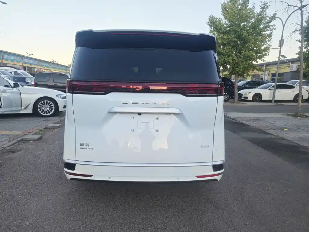 Denza Denza D9 — миниатюра 11