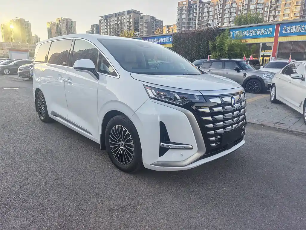Denza Denza D9 — миниатюра 3