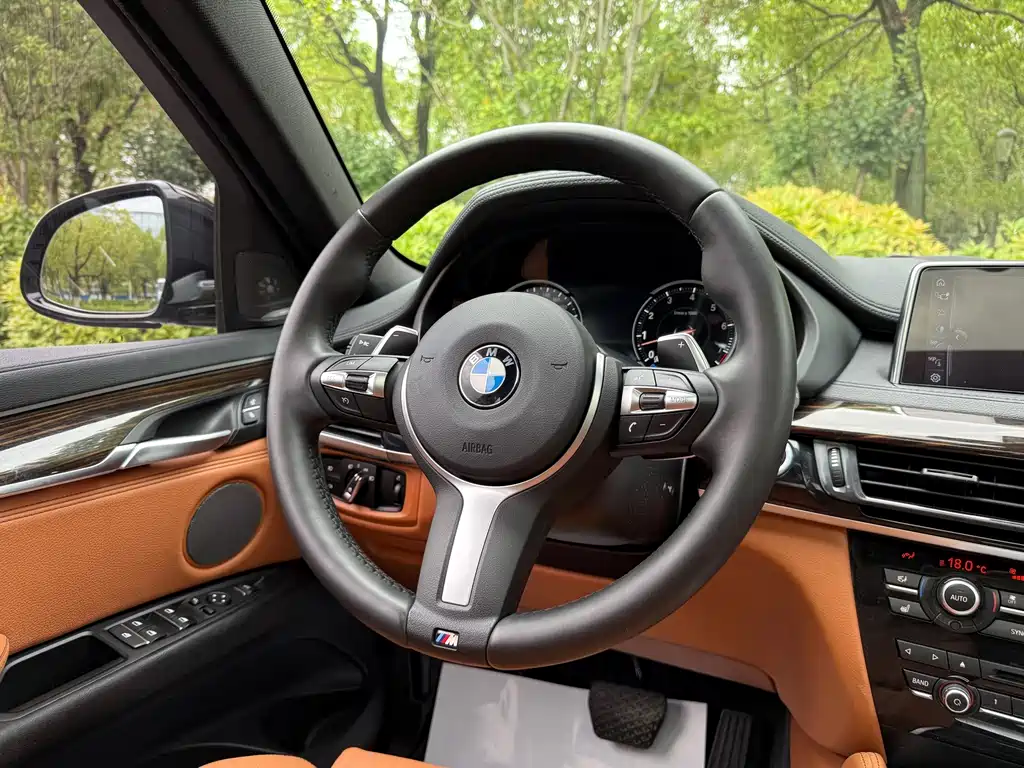 BMW X6 — миниатюра 12