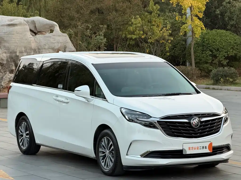 Buick GL8 — миниатюра 3