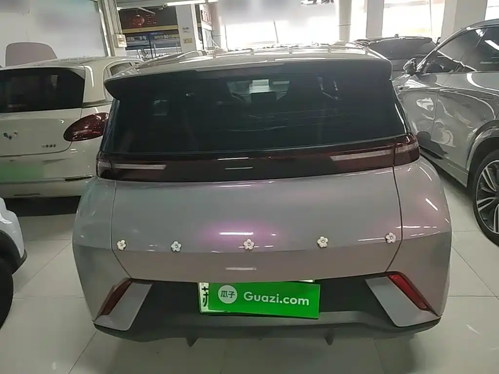 BYD Seagull 2024 305km