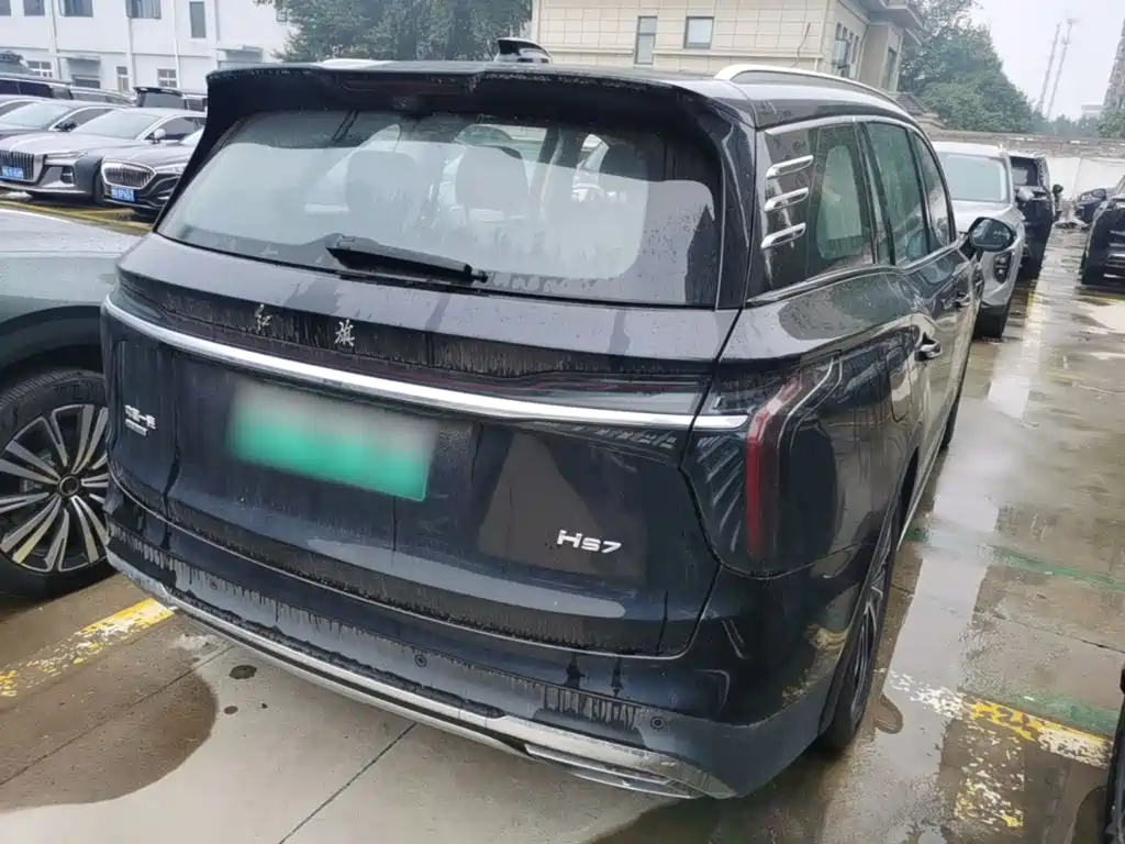 Hongqi Hongqi HS7 PHEV — миниатюра 7