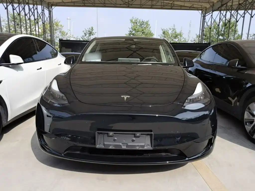 Tesla Model Y — миниатюра 3
