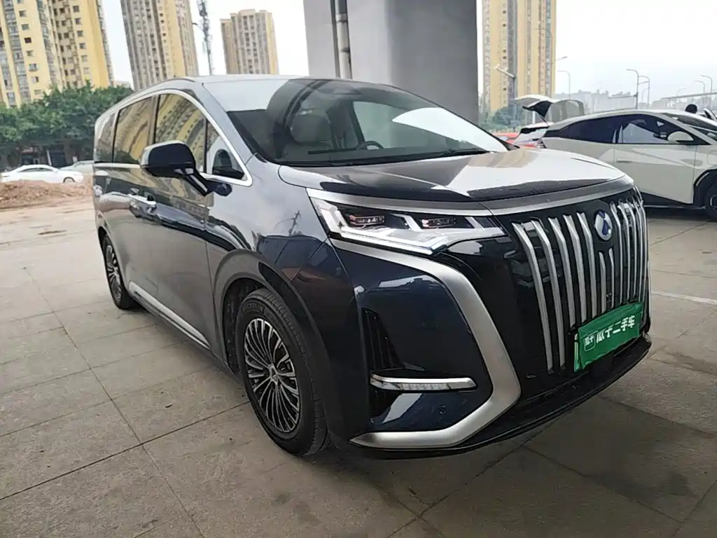Denza Denza D9 — миниатюра 4