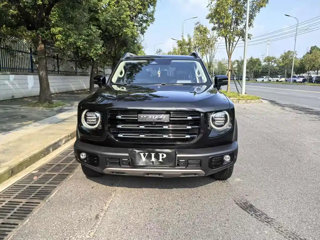 Haval Big Dog — миниатюра 2