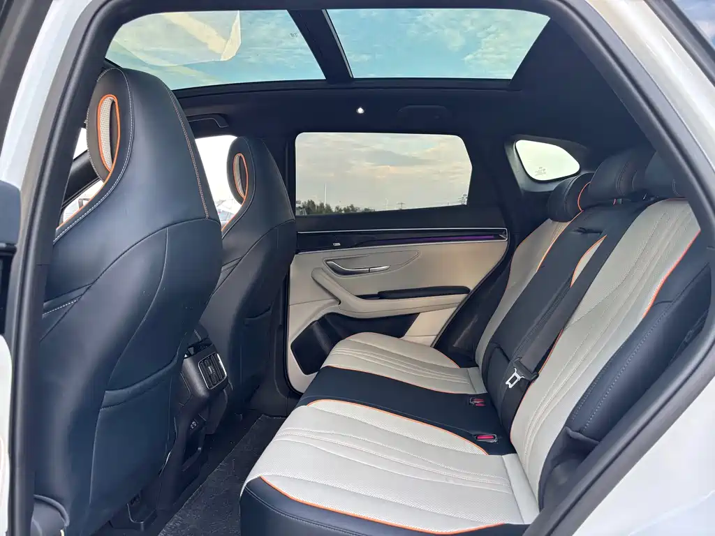 BYD PLUS New Energy — миниатюра 7