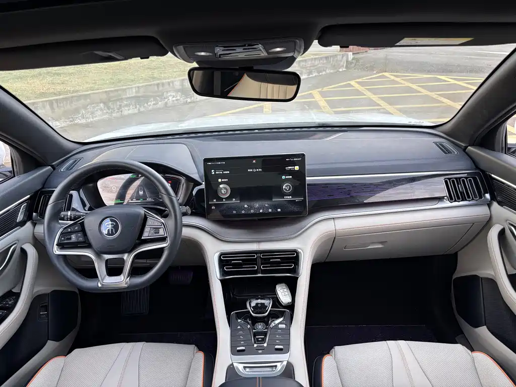 BYD PLUS New Energy — миниатюра 8