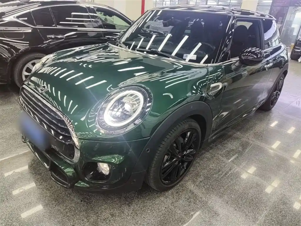 Mini Mini 2019