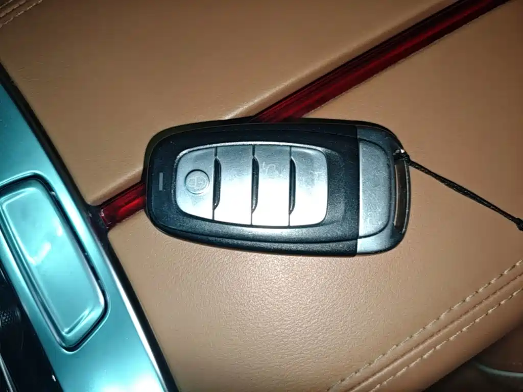 Hongqi Hongqi H9 — миниатюра 9