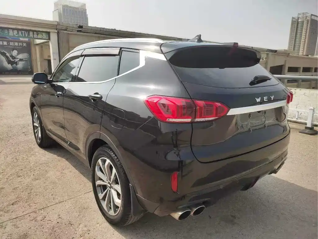 Wey VV6 2.0T 2WD Smart Guard +, фото 6