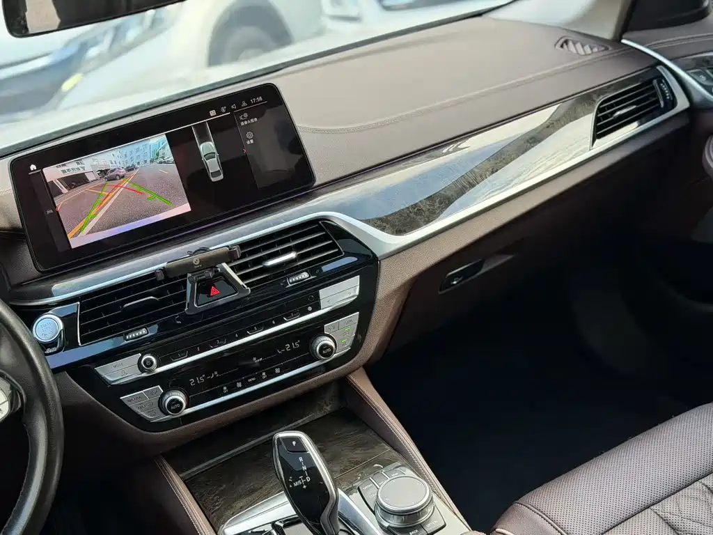 BMW 5 Series 5 2021 525Li Luxury