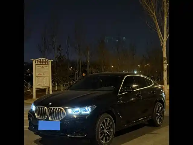 BMW X6