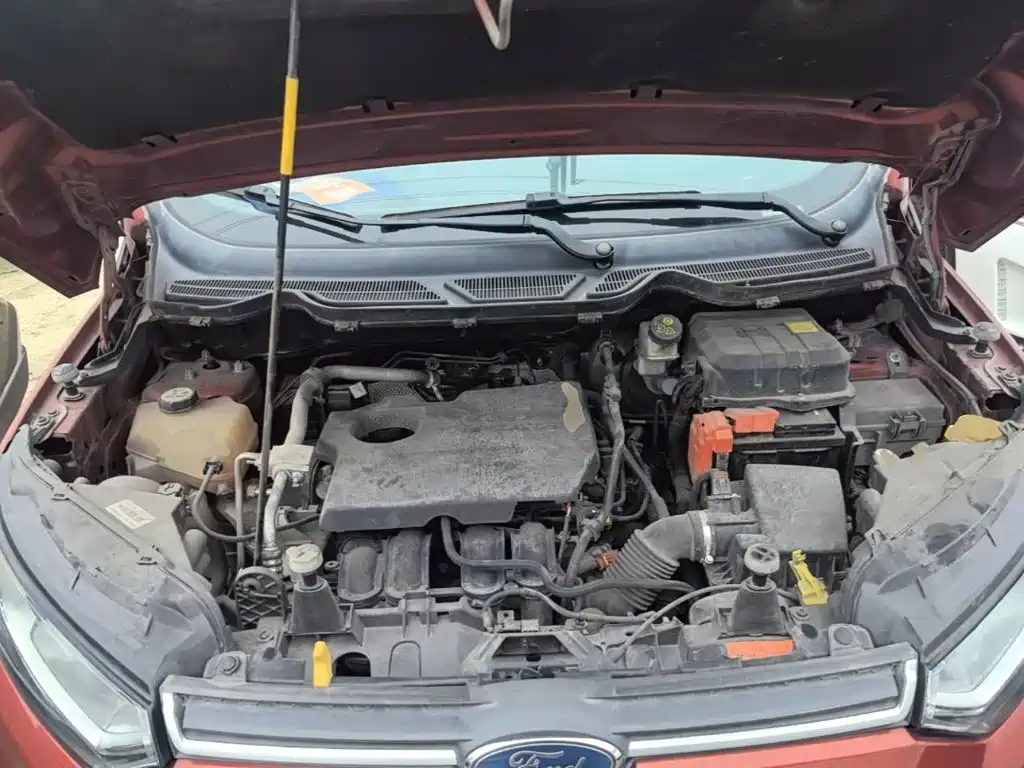Ford Ecosport — миниатюра 20