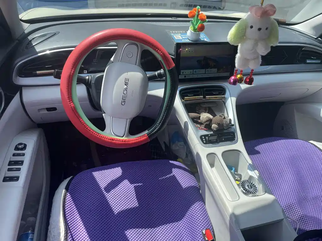 Geely Geome Xingyuan 2025 310km