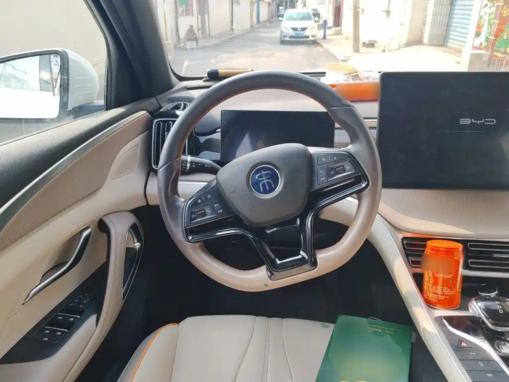 BYD Pro New Energy — миниатюра 11