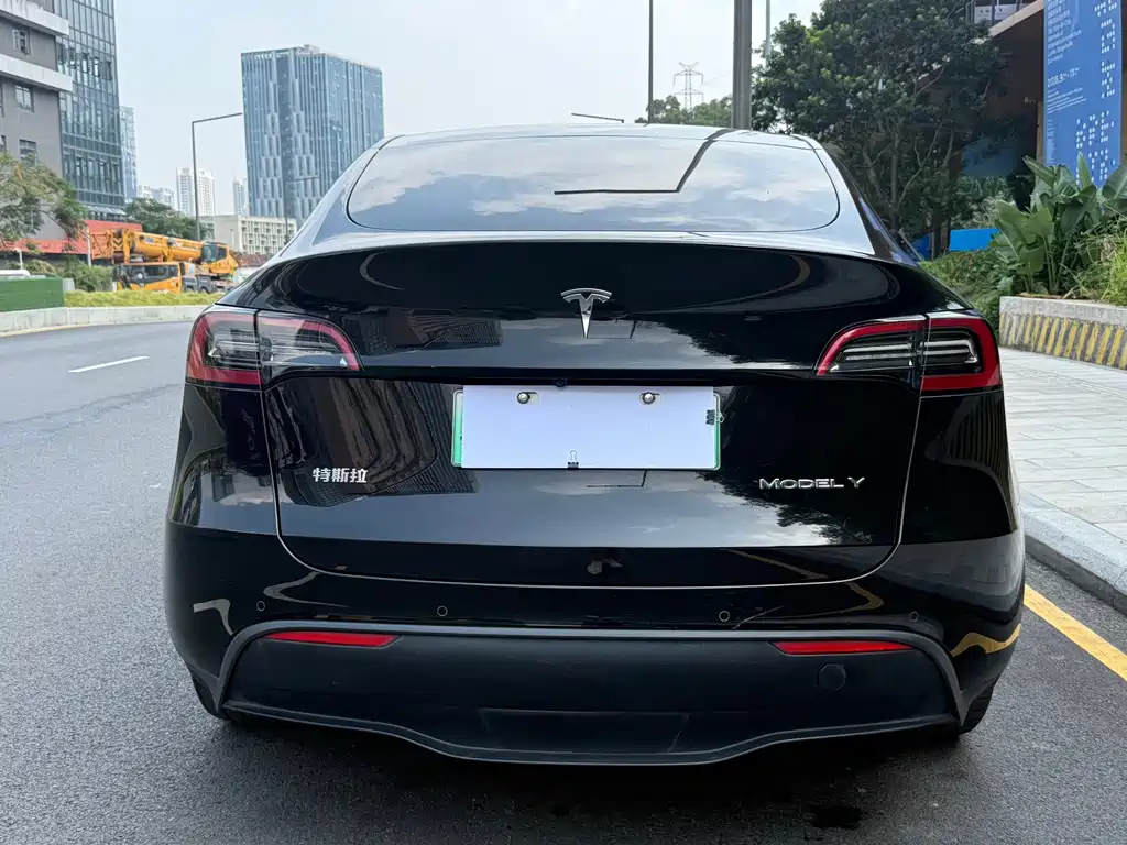 Tesla Model Y — миниатюра 9