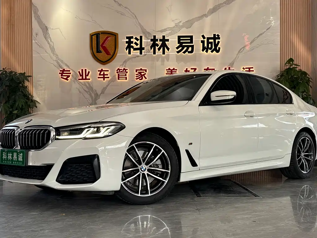BMW 5 Series (Import) 2021