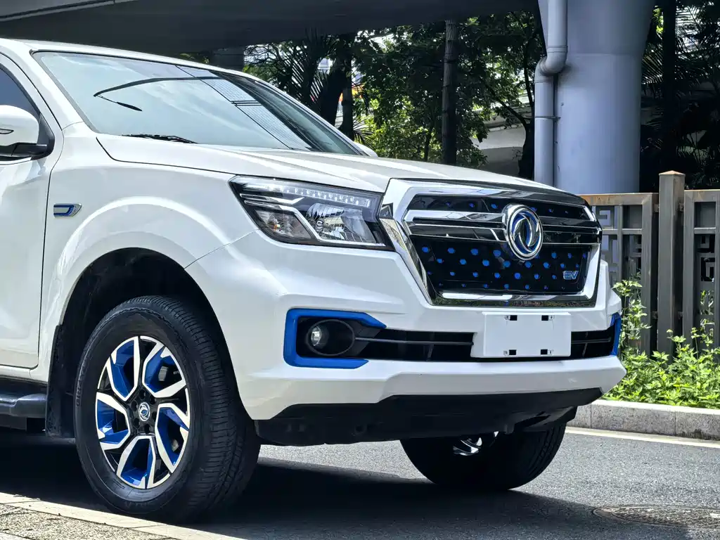 Dongfeng Rich 6 New Energy — миниатюра 5