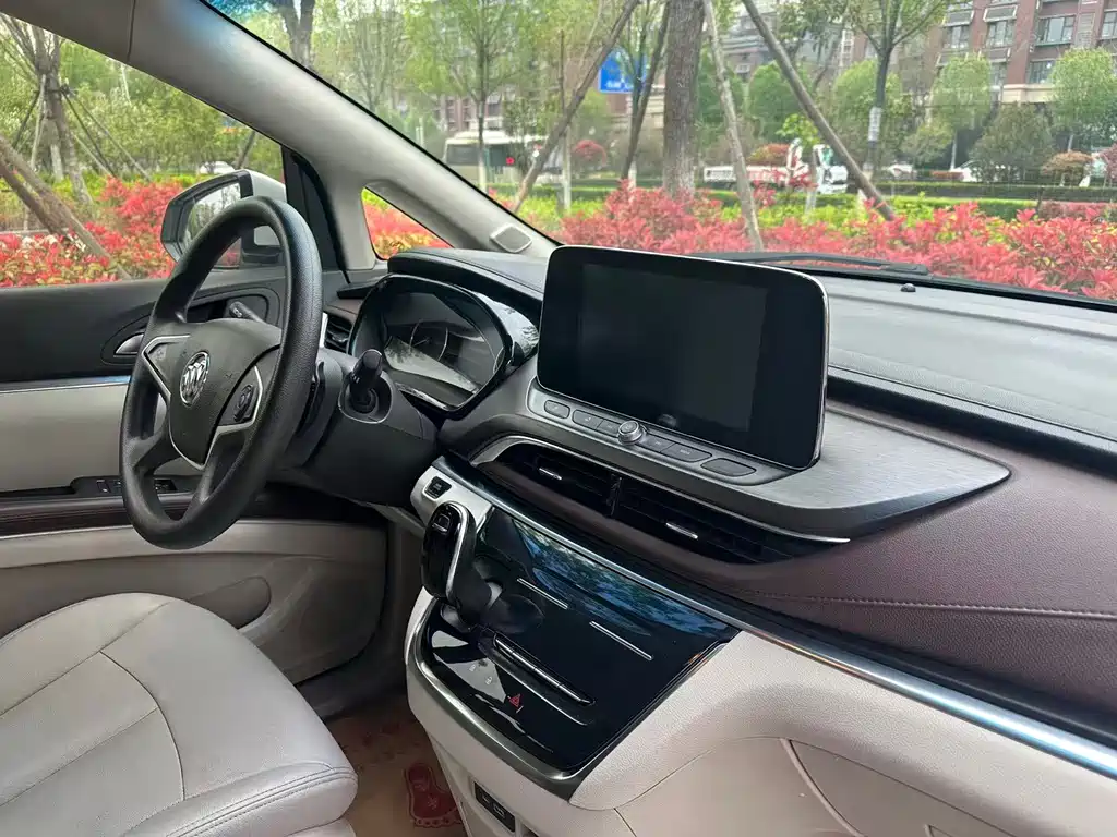 Buick GL8 — миниатюра 10