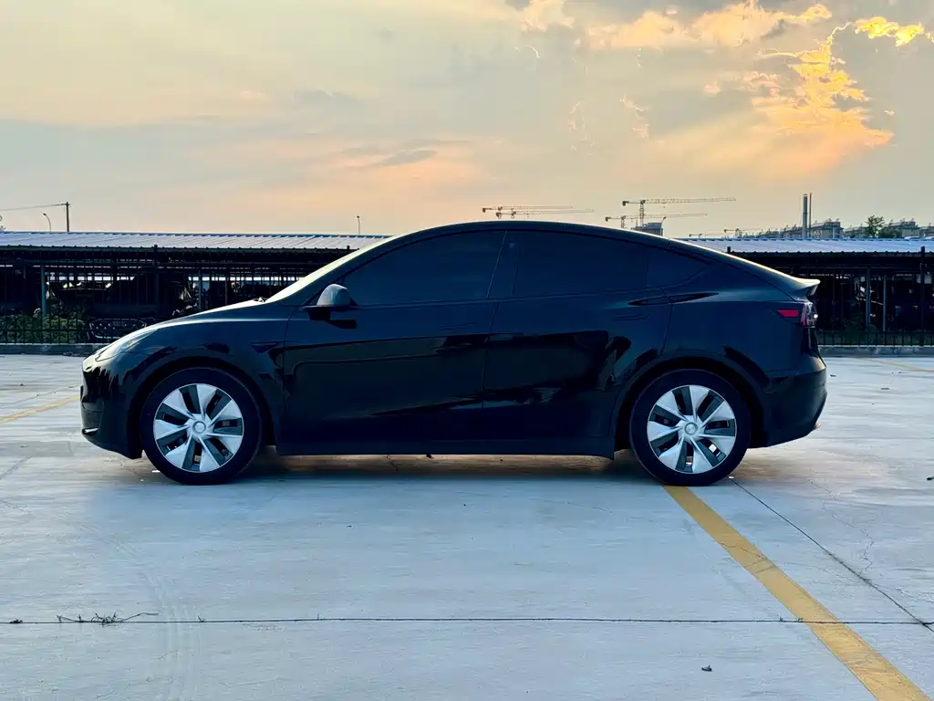 Tesla Model Y — миниатюра 9