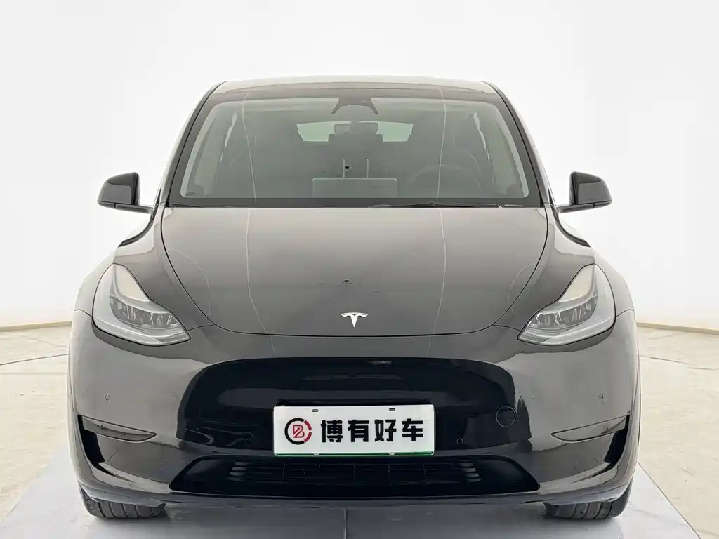 Tesla Model Y — миниатюра 2