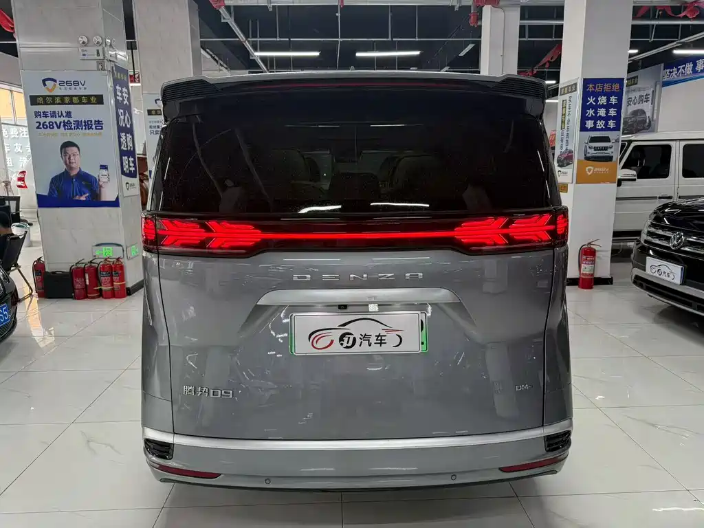 Denza Denza D9 — миниатюра 5